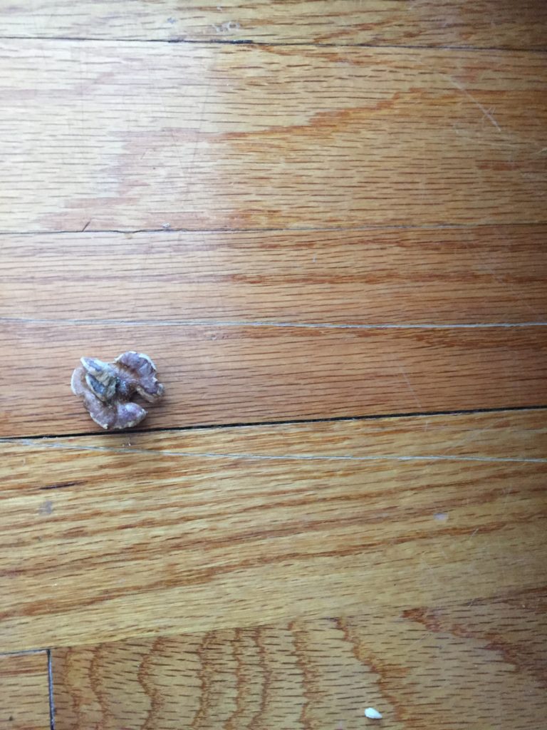 use a nut to fix hardwood floor scratches