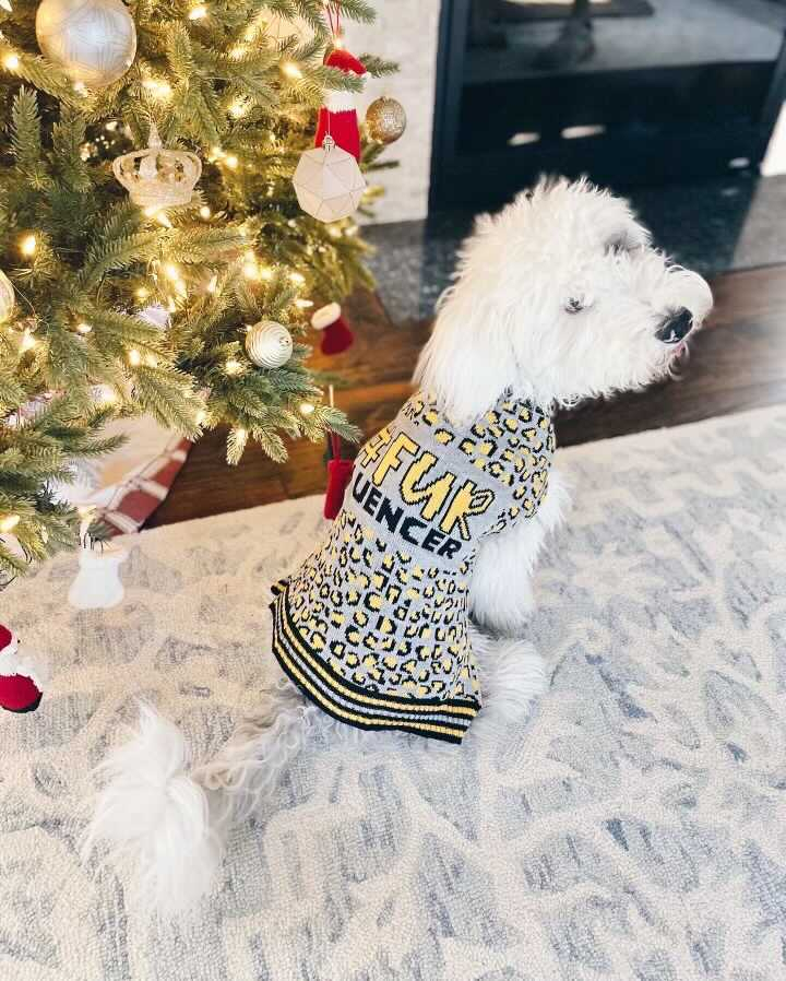 cute sheepadoodle puppy sweater