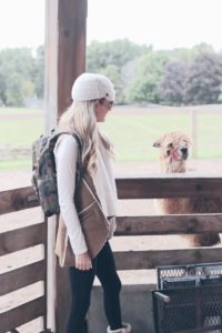 fall activities for kids in connecticut - visiting a farm on pintereting plans connecitcut fashion blog