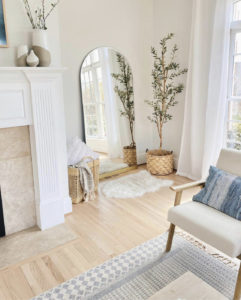 modern traditional living room interior design
