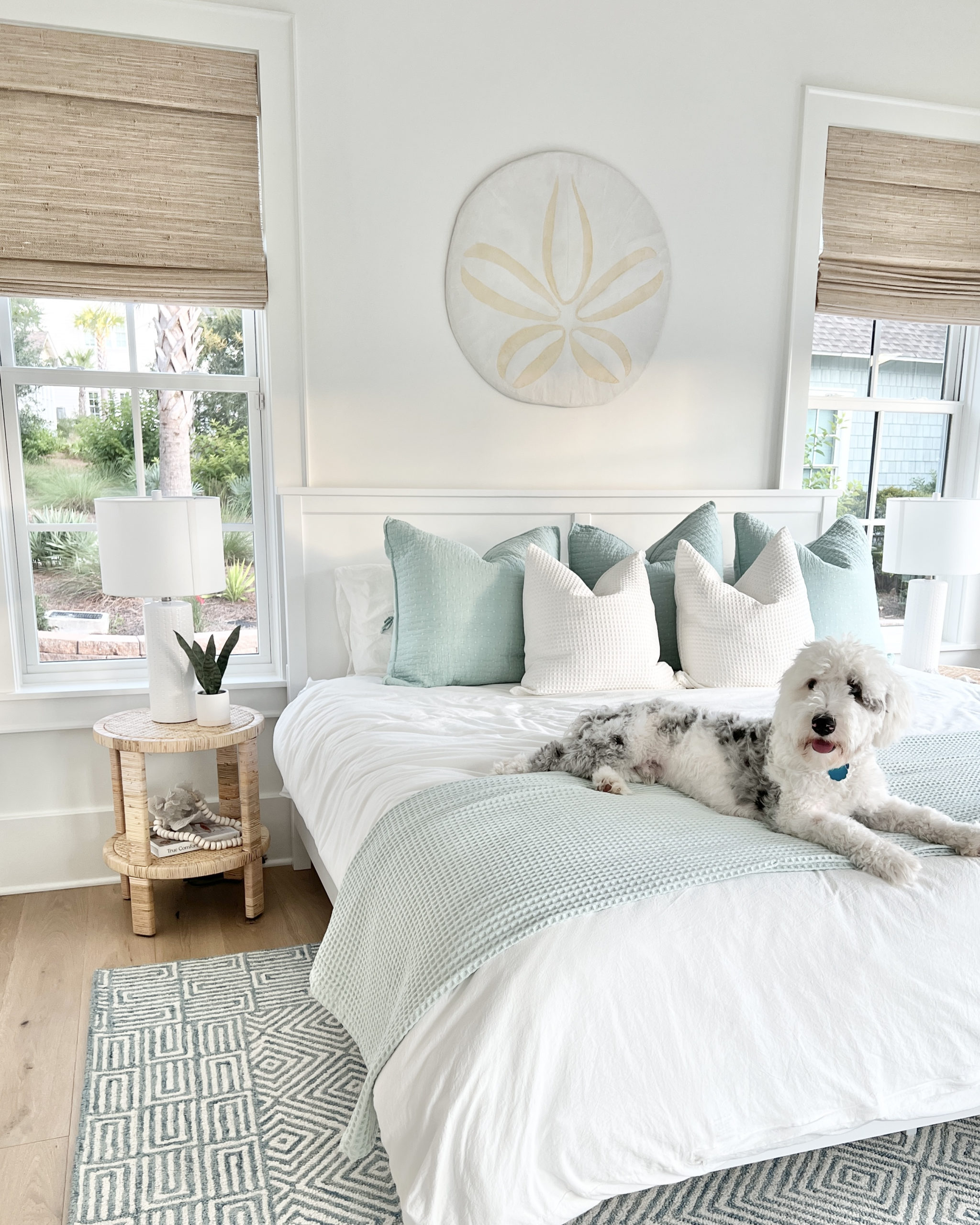 mini sheepadoodle on bed