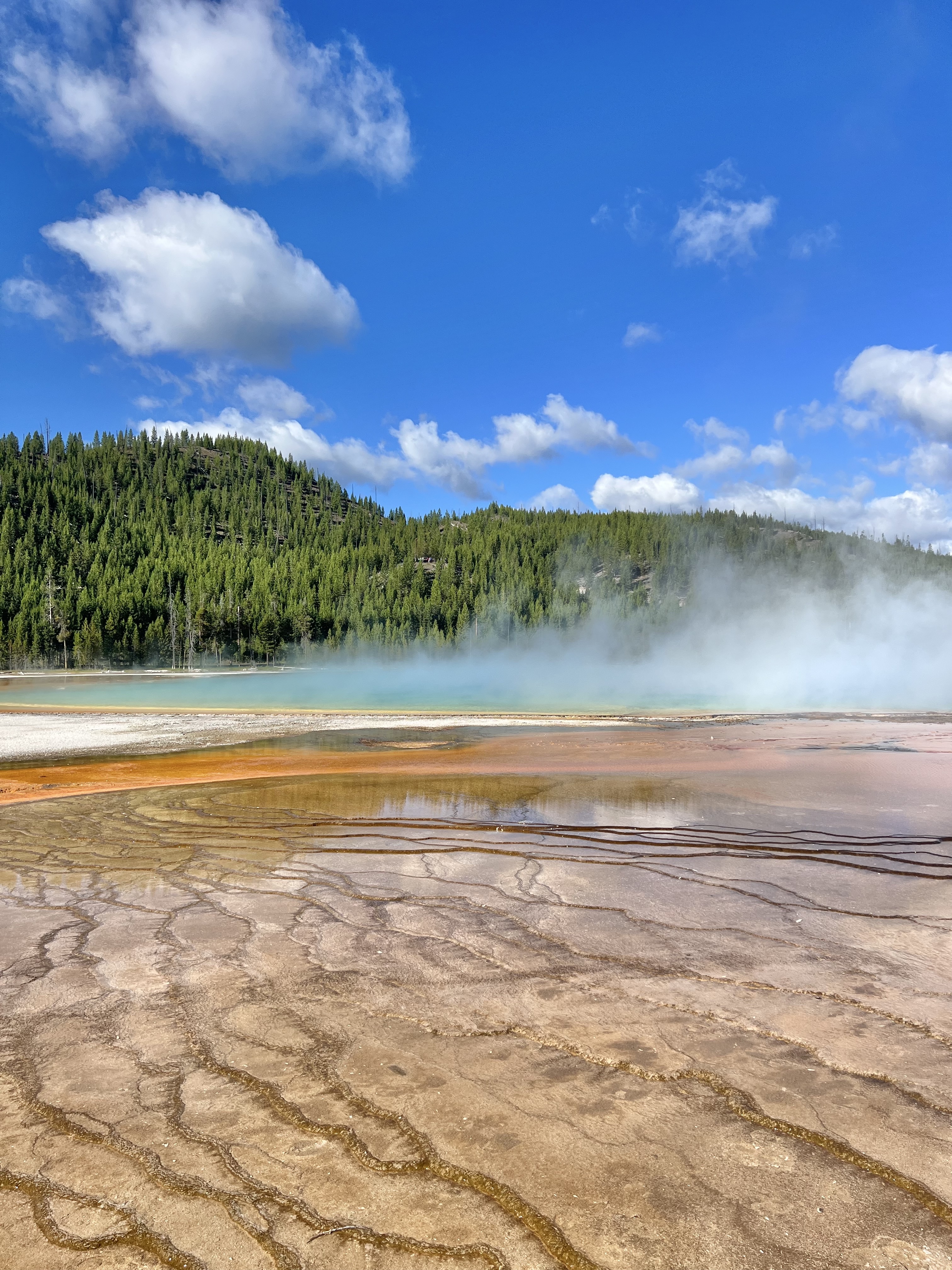 grand prismatic springs - yellowstone national park
