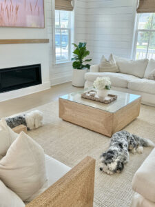 coastal modern style living room home decor and furniture